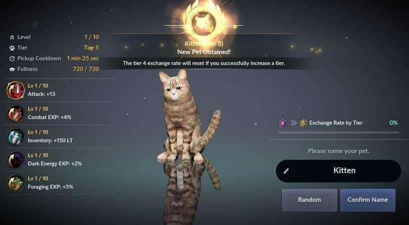 Black Desert Mobile – 14.04.2020 Patch Notes | NEW Tier 5 Pets !