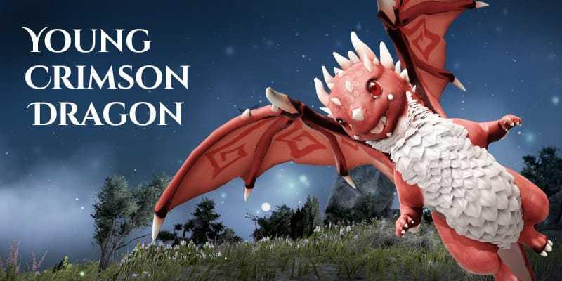 BDO – NEW BOSS GARMOTH | Young Crimson Dragon