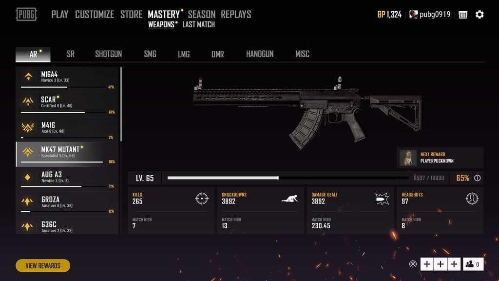 PUBG – Weapon Mastery Deep Information and Q&A