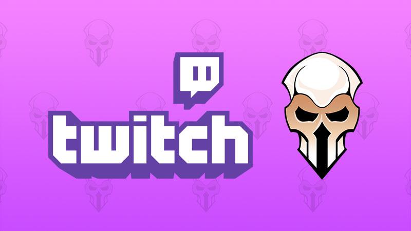 Paladins – Twitch Category Patch Notes | Massive Changes Coming!